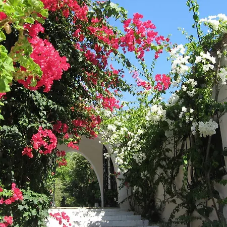 Hotel Punta Rossa