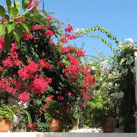 Hotel Punta Rossa San Felice Circeo
