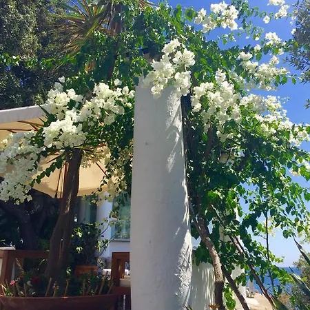 Punta Rossa Otel 4*