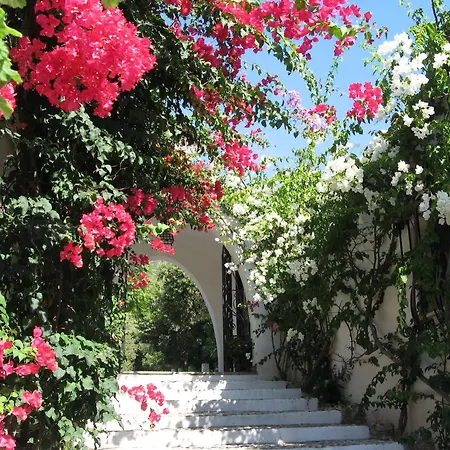 Hotel Punta Rossa