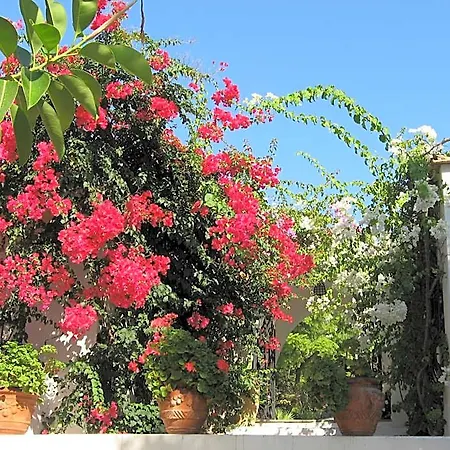 Punta Rossa Hotel San Felice Circeo