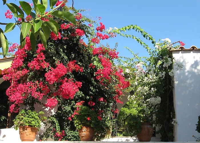 Hotel Punta Rossa San Felice Circeo