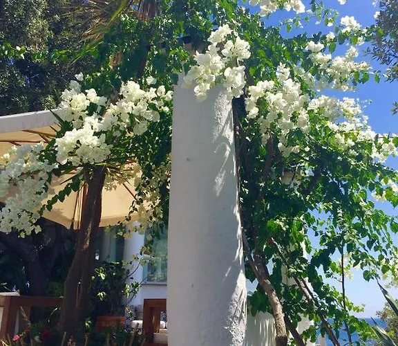 Punta Rossa Hotel 4*